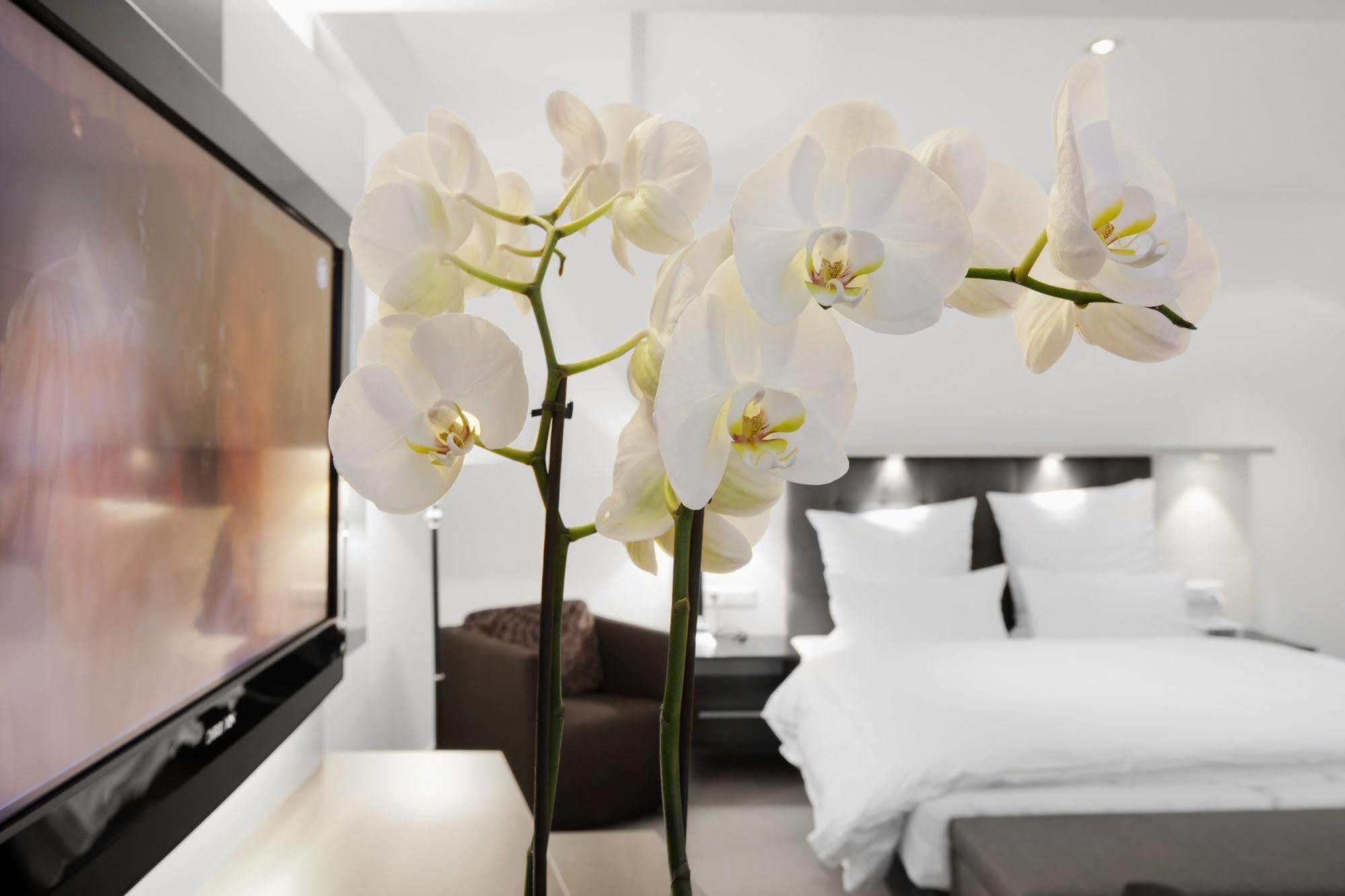 Bergmann Boardinghouse Osnabrueck Apartment Екстериор снимка